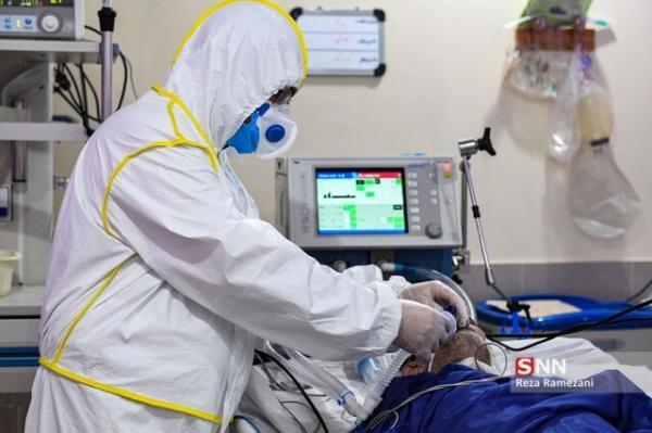 وزیر بهداشت برای حل مسائل دستیاران پزشکی دستور صادر کرد